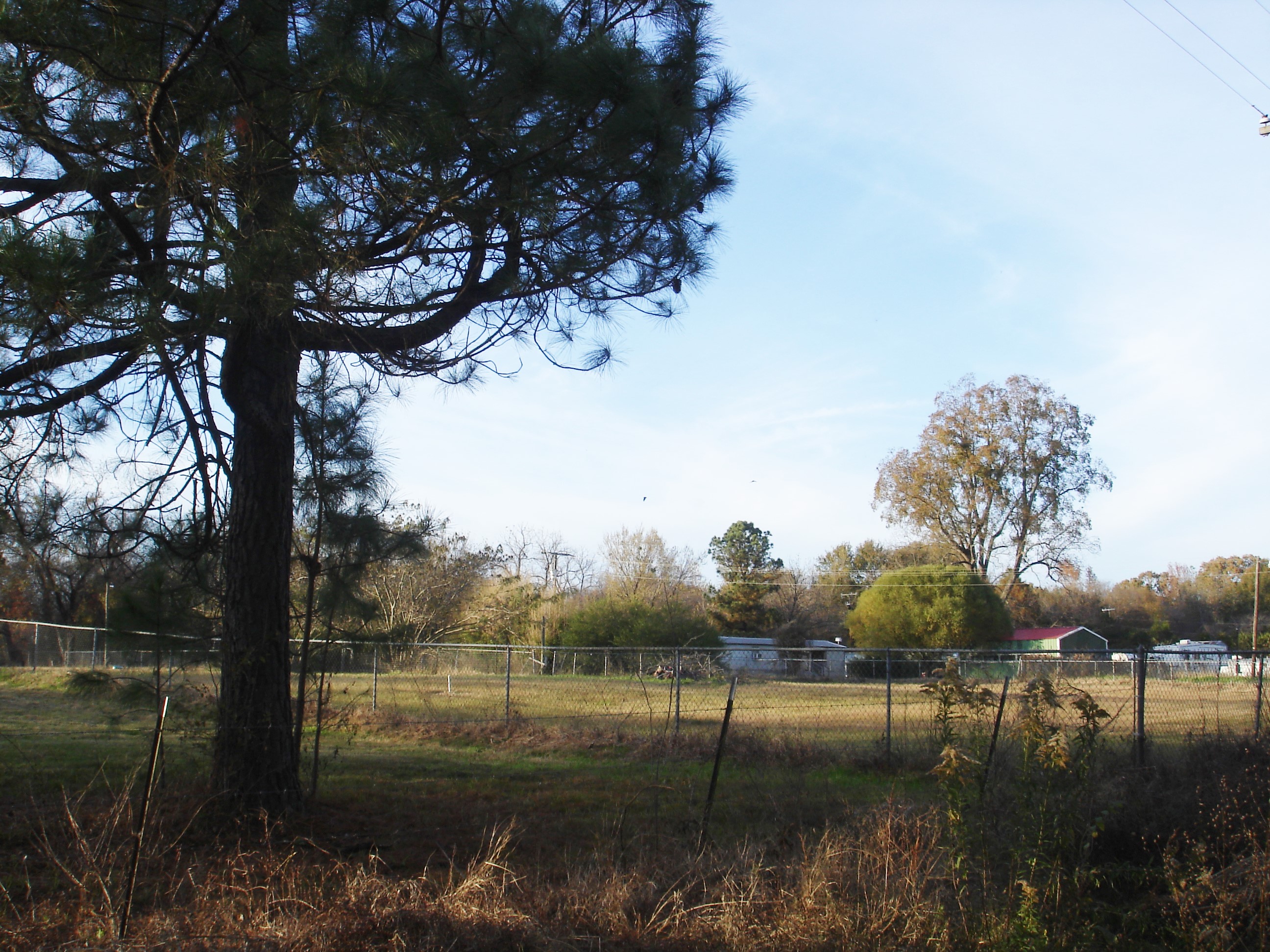 country living homes for sale in texas
