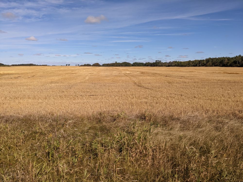 Simulcast Auction | Large Combination of Farmland With Hunting Opportunities in Polk County, Minnesota