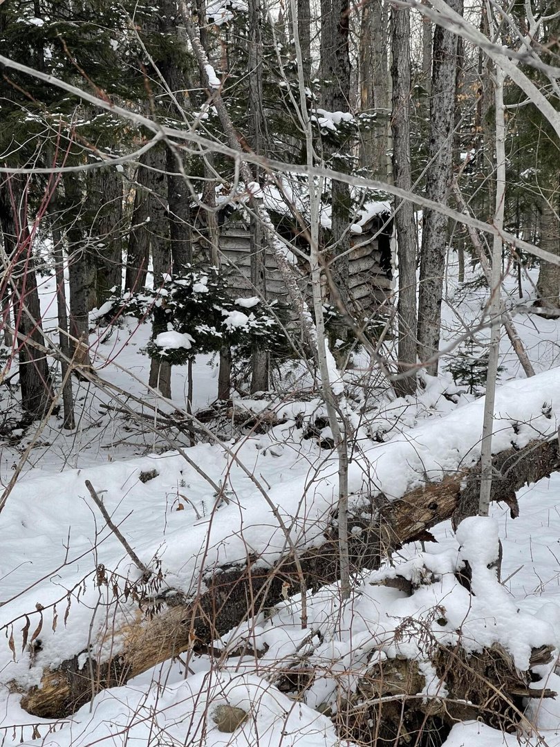 0 Esquaree Road Acreage In Maine, Aroostook County For Sale