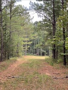 287 Acres in Madison County in Canton, MS 