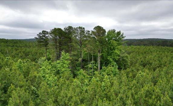 236.9 Acres in Attala County in West, MS 