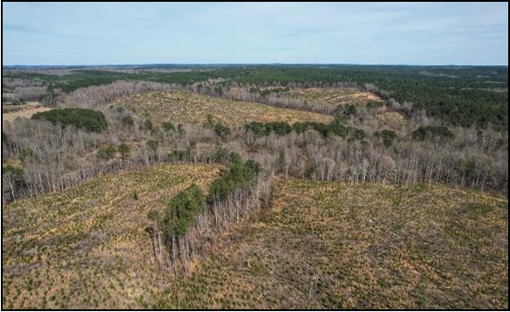 184.3 Acres in Lafayette County in Paris, MS 