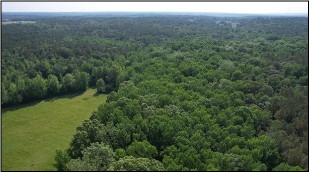 344.3 Acres in Lafayette County in Oxford, MS 