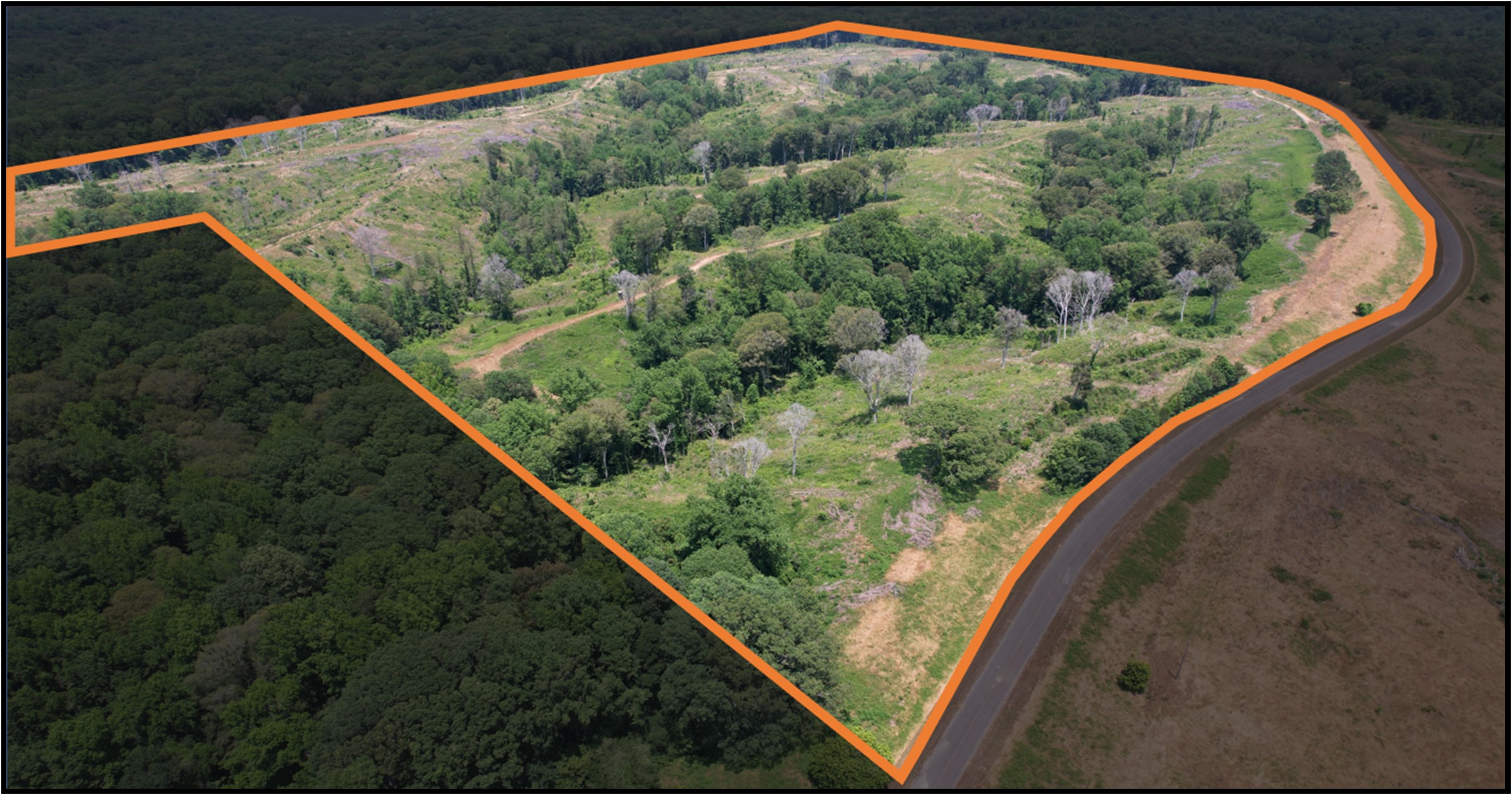 159.1 Acres in Holmes County in Lexington, MS 