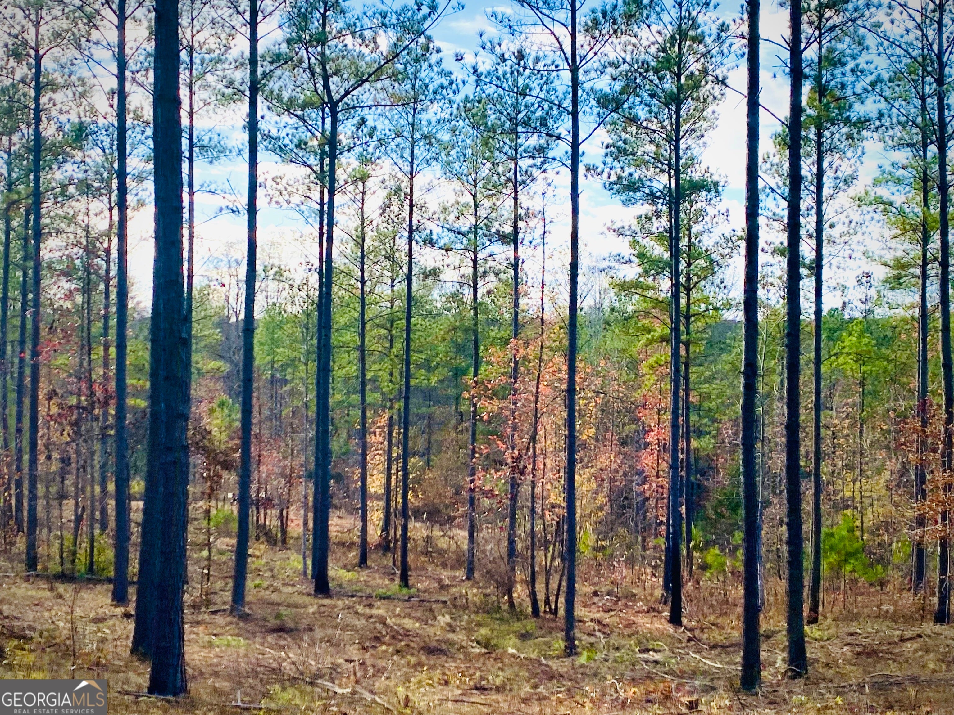 70 ACRES Forsythyatesville Road Acreage In Lamar County For