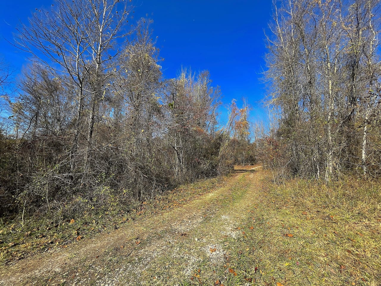 TR 152 - 60 acres - Lawrence County