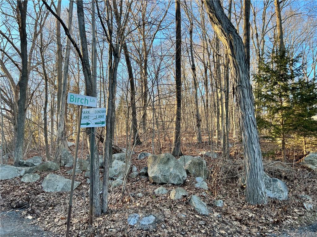 7 Birch Lane Acreage In New York, Dutchess County For Sale