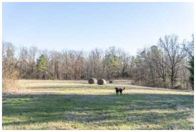 96.7 Acres in Tallahatchie County in Cascilla, MS