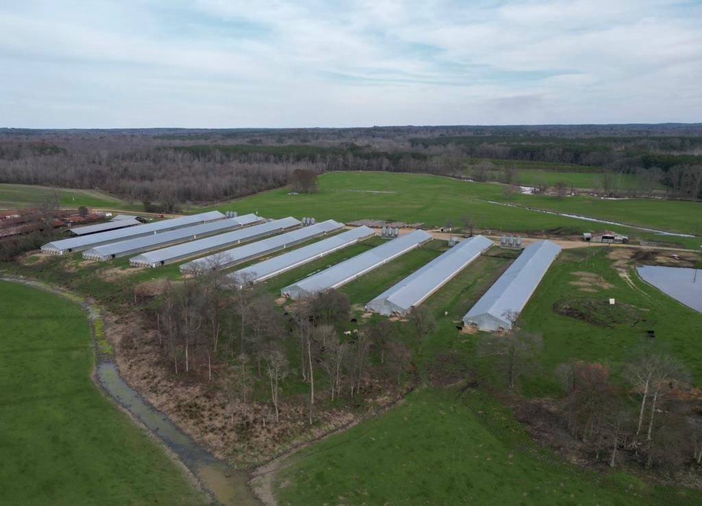 Poultry Broiler and Cattle Farm w/ Natural Gas Mississippi