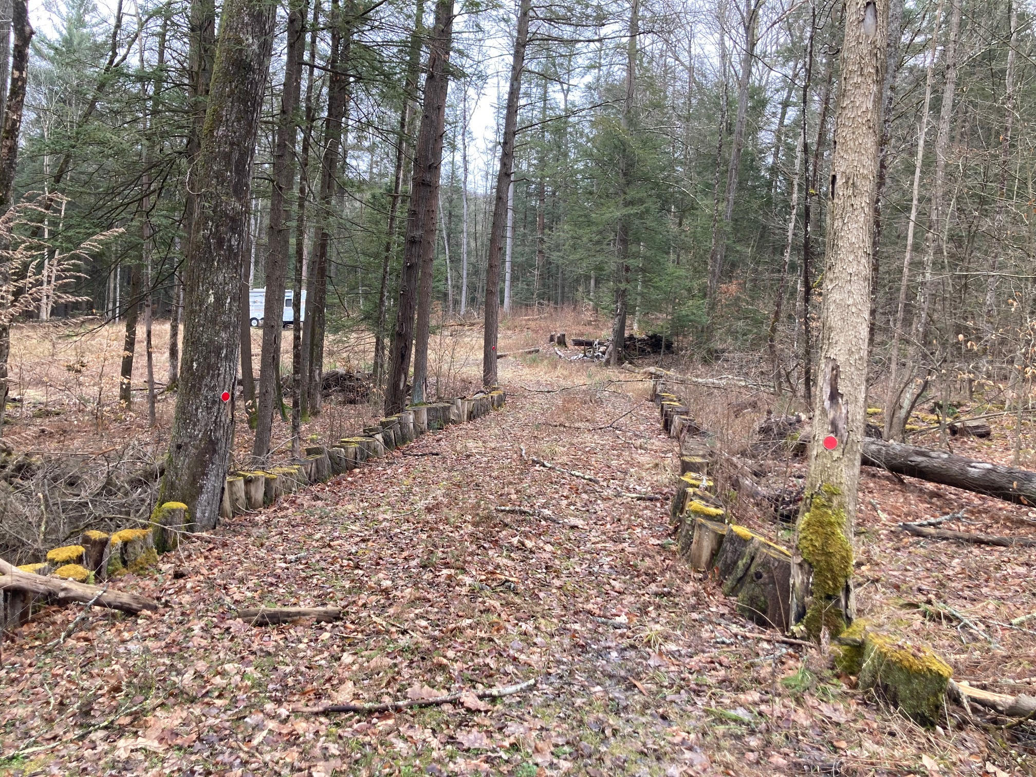 15 acres Woodlands with Concrete Slab and Septic bordering State Land in Windsor NY 436 Scouten Hill Road