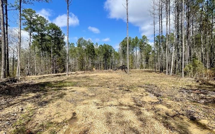 20 Acres in Choctaw County in McCool, MS