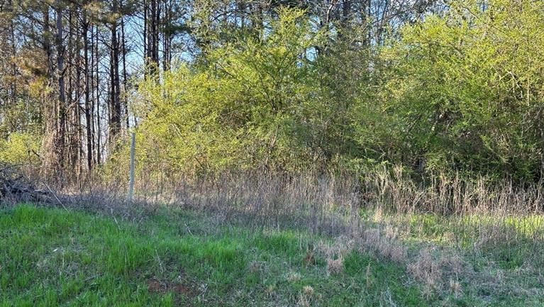 22.14 Acres in Newton County in Decatur, MS