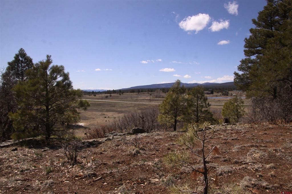 173  Pacifico Drive Pagosa Springs CO 81147