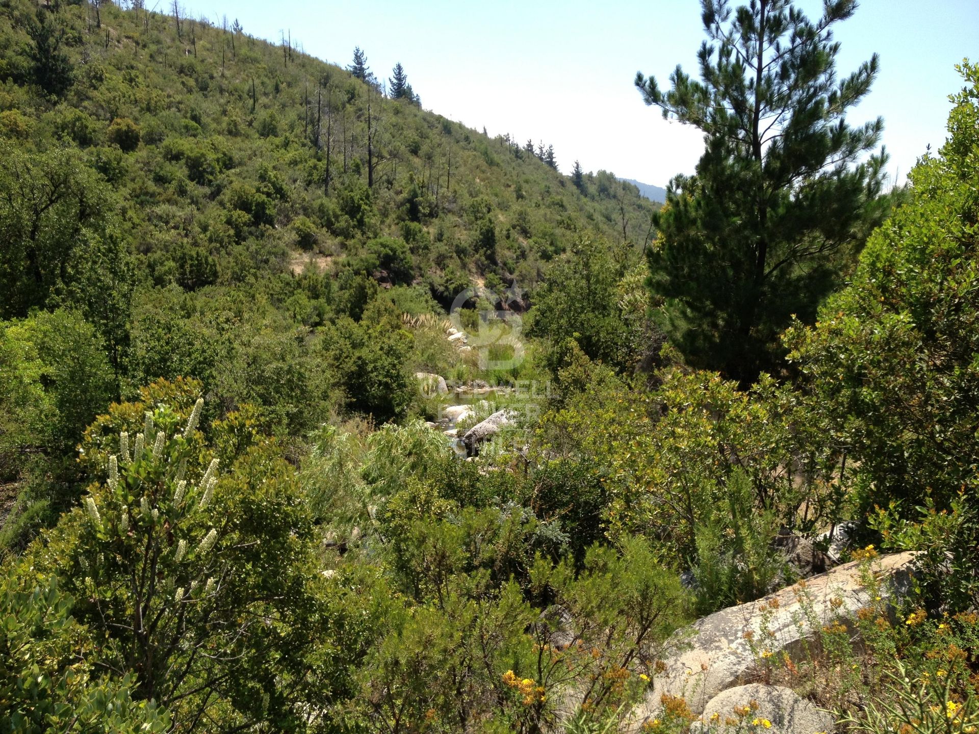 Precioso y amplio terreno en Sierra de Bellavista