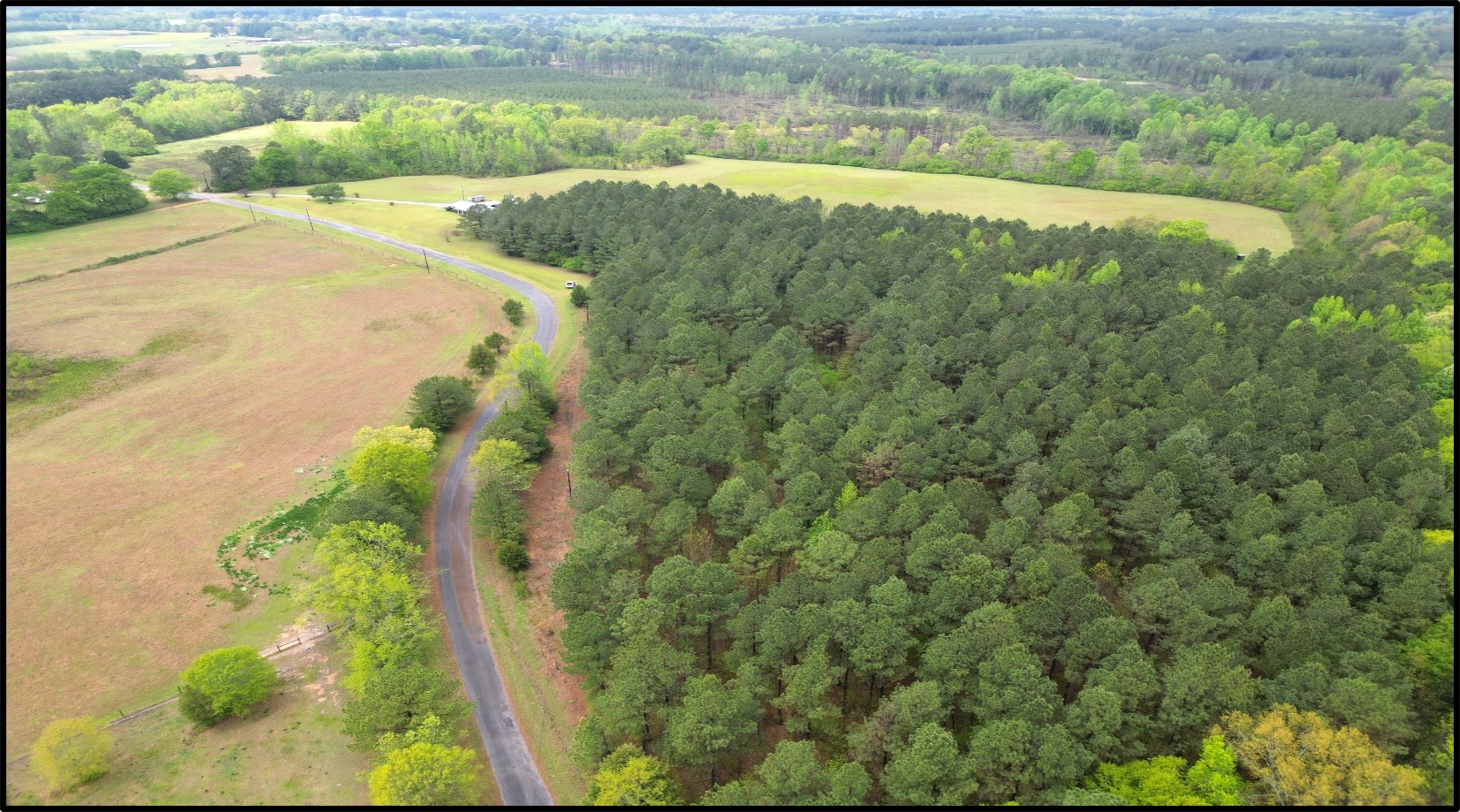 64 Acres in Winston County in Louisville, MS 