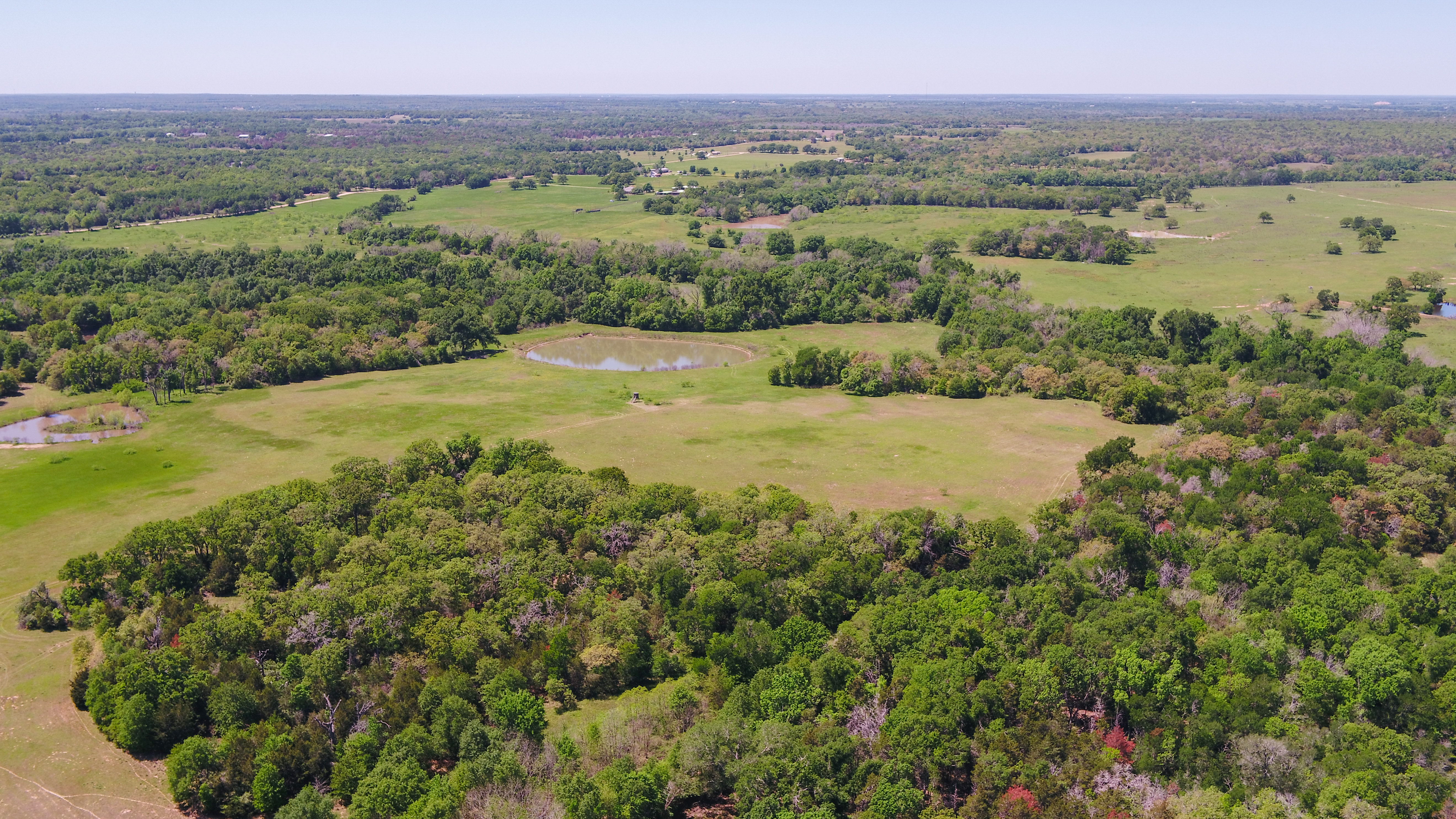 113 Acres in Milam County