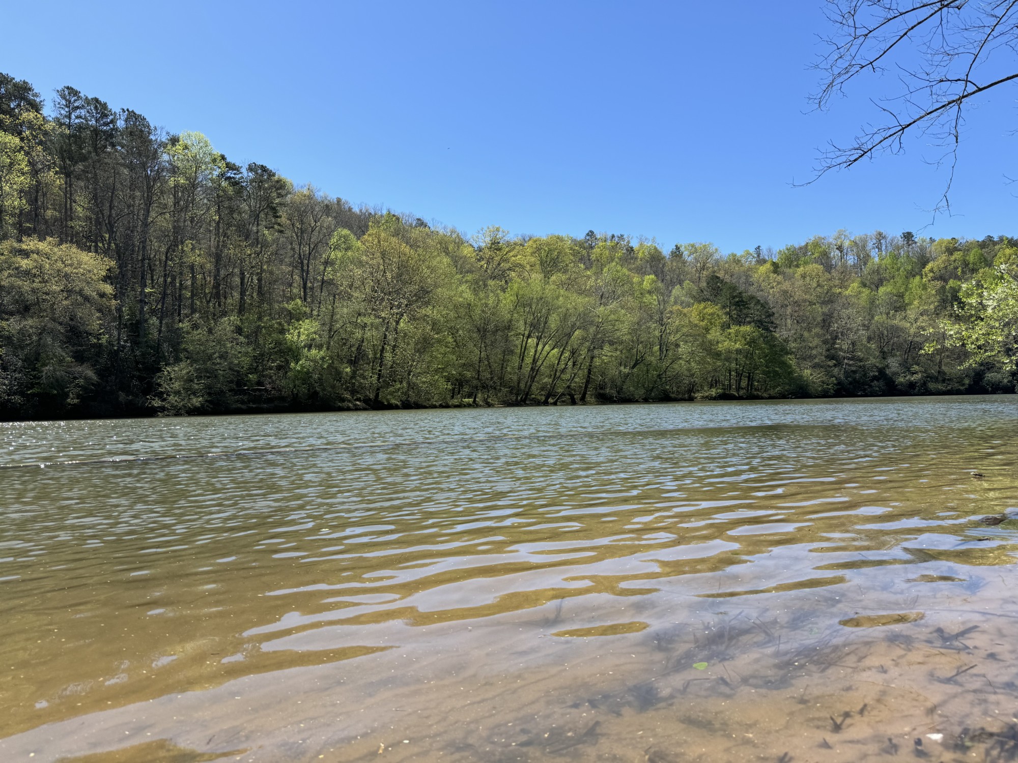 69+/-Acres-RIVER FRONT-Hall Co, GA