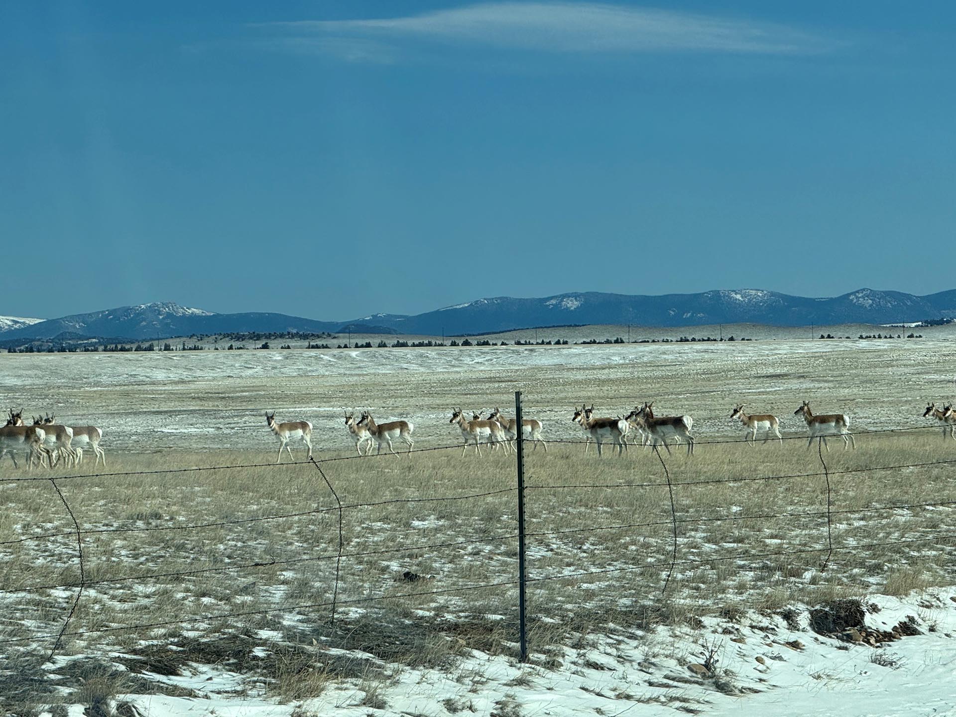 Elk Valley Ranch