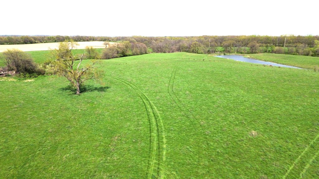 38+- acres McDonough County IL, pasture, hunting, build site