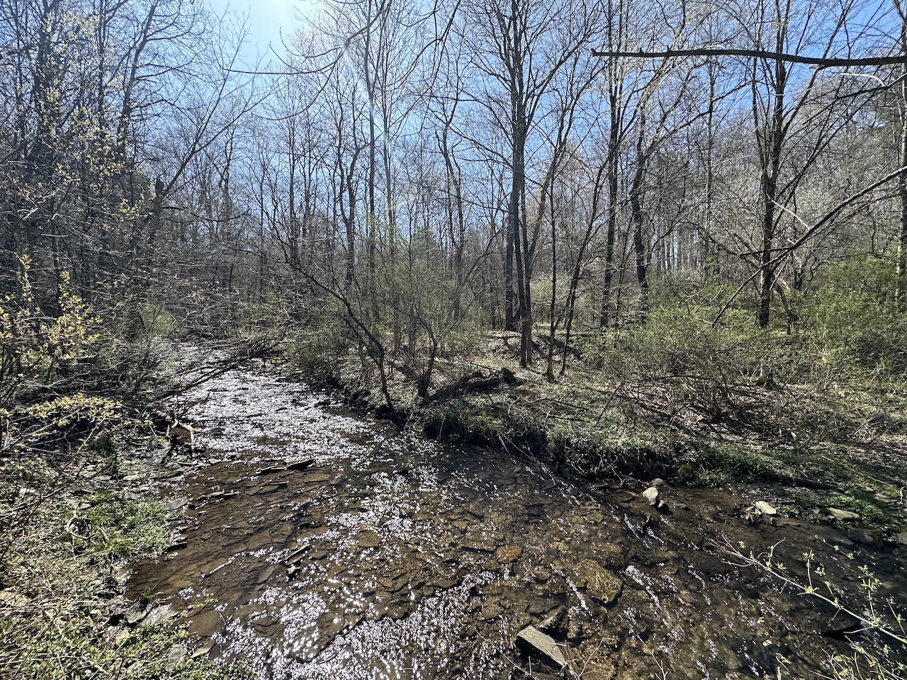 10 acres Recreational Land and Building Lot with Creek in Clarksville NY 8353 County Road 40