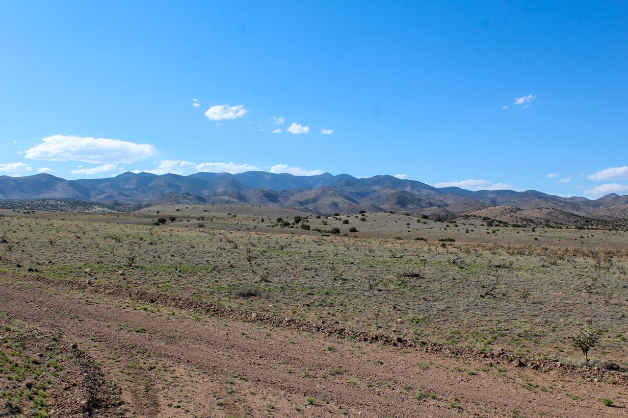 Auction Lot 2A Willow Springs 489 Acres