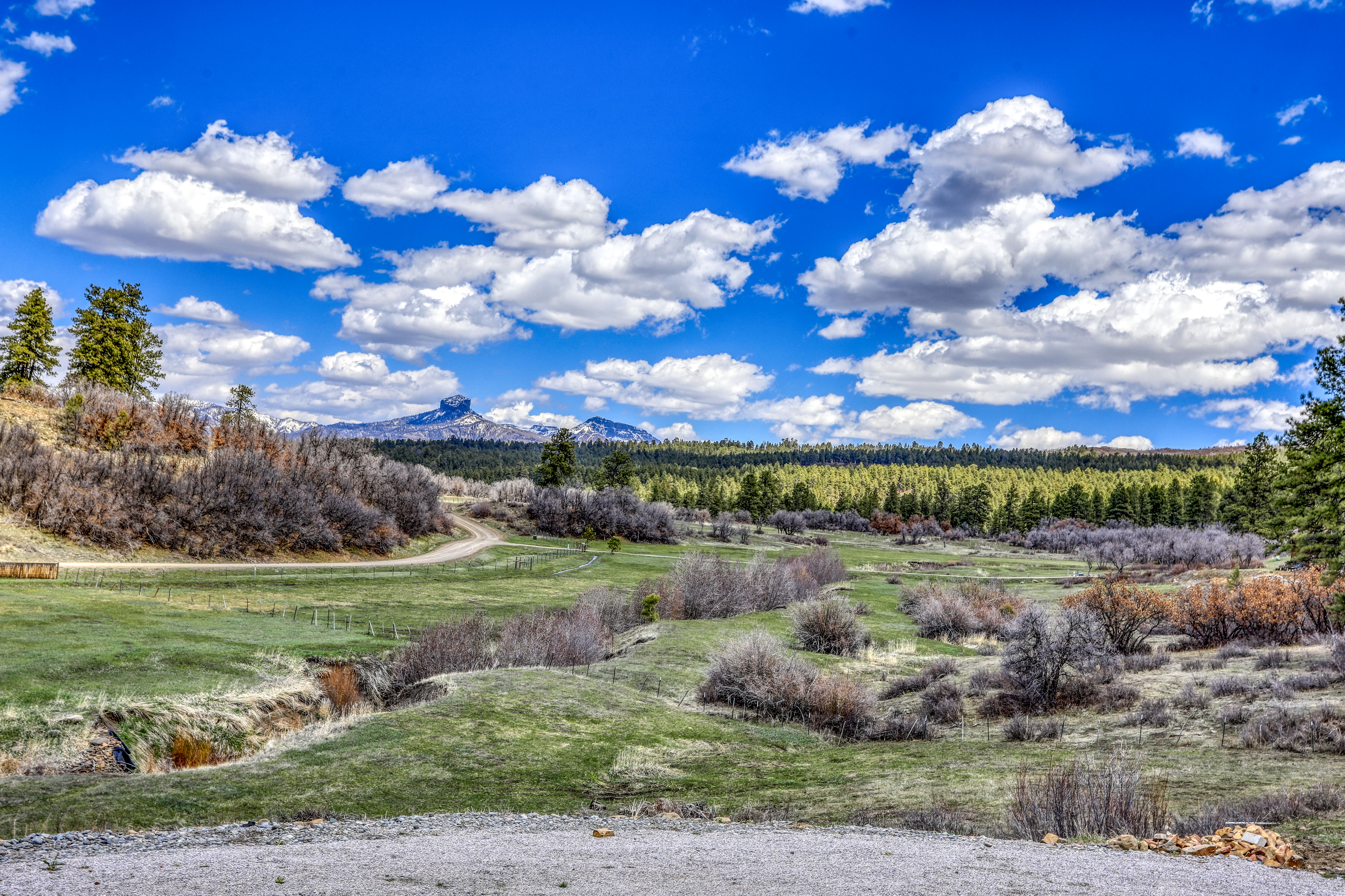 1149 Cattle Trail Place, Pagosa Springs, CO