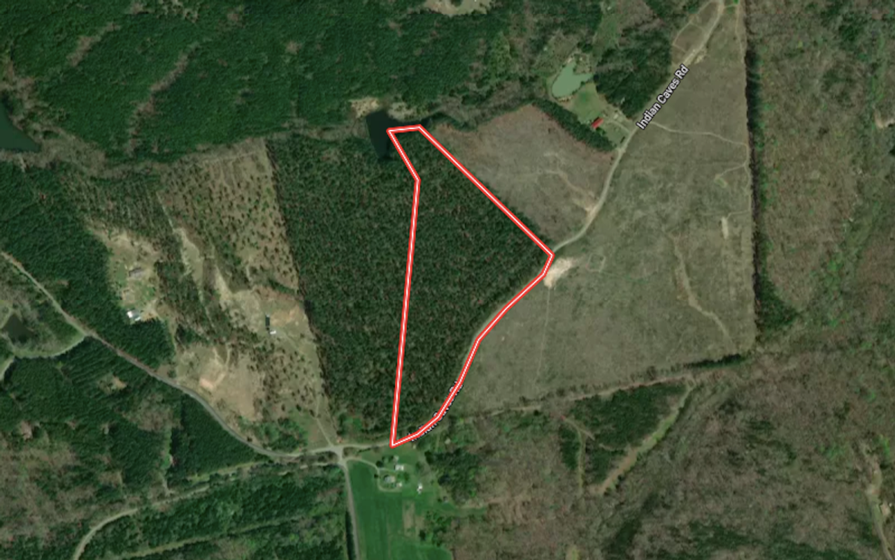 20.38 acres of Recreational / Residential and Timber Land For Sale in Halifax County VA!