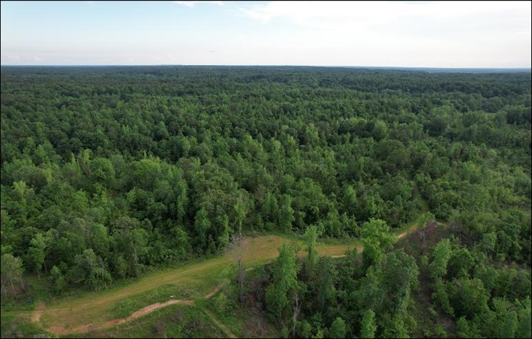 80 Acres in Tallahatchie County in Cascilla, MS 