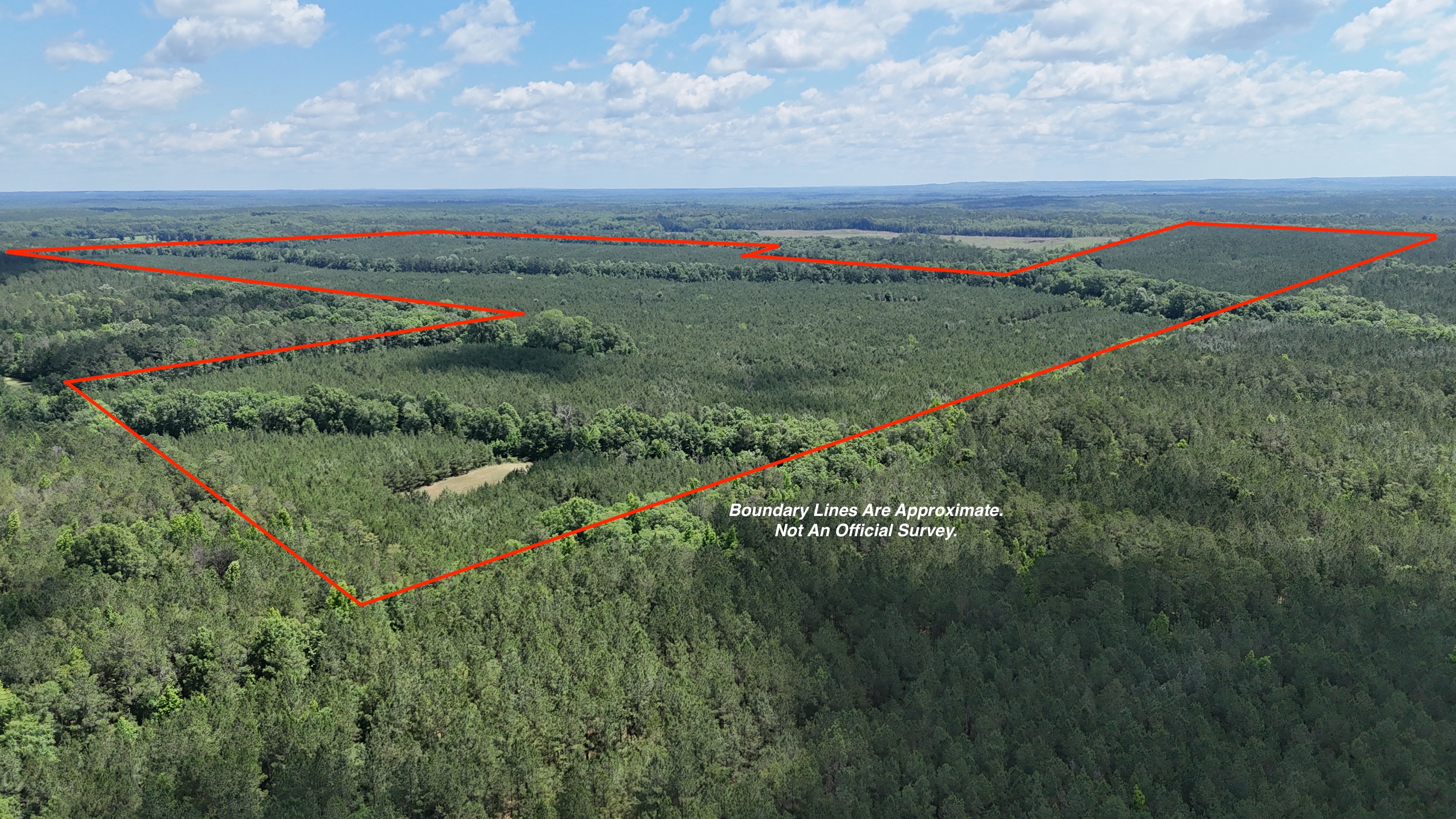 Phenomenal 490+/- Acre Timberland/Recreational Tract In Russell County, AL!