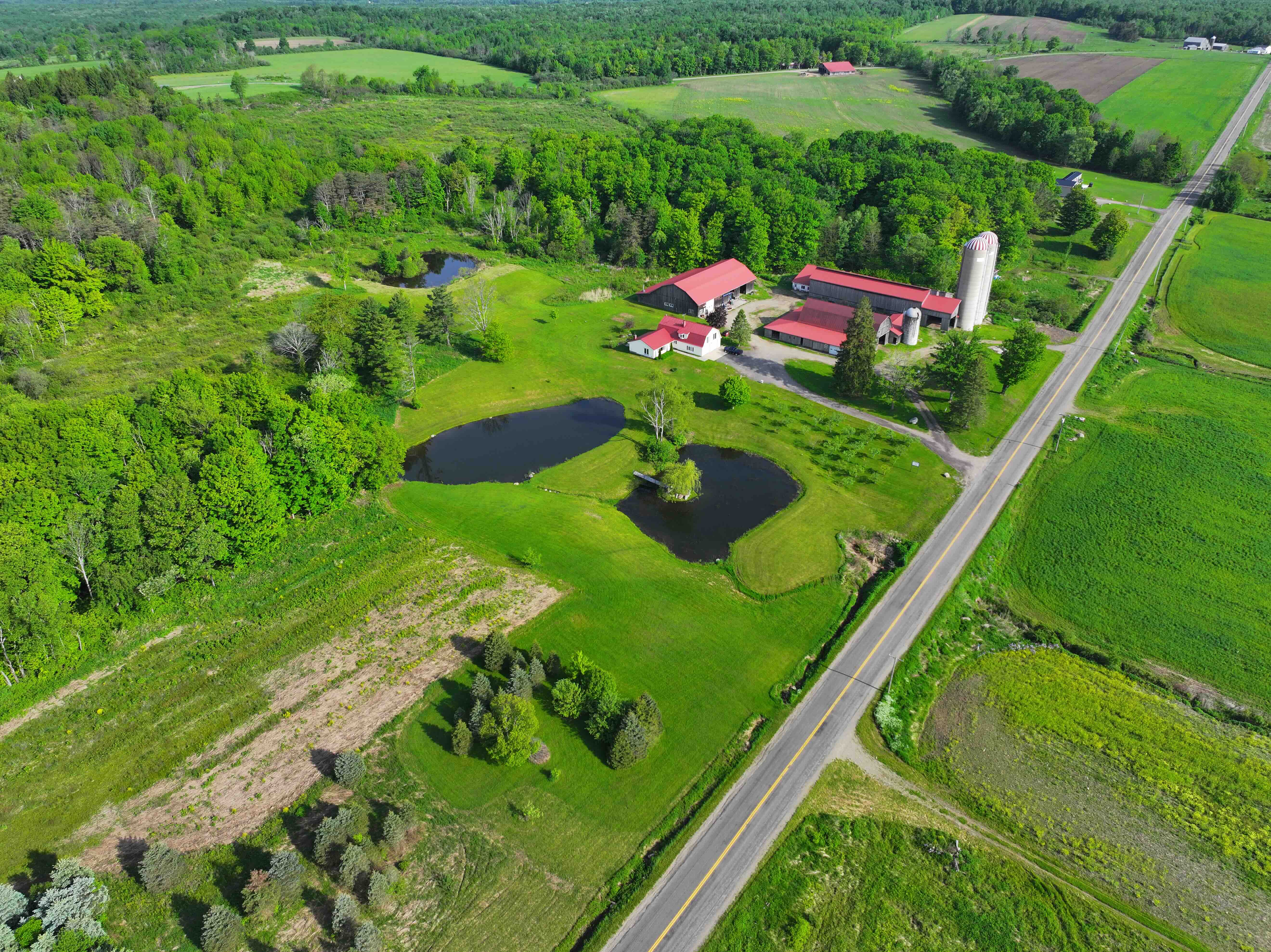 60 acres House, Two Barns, Heated Shop, Ponds, Orchard and FREE GAS in Dewittville NY 7057 Beech Hil