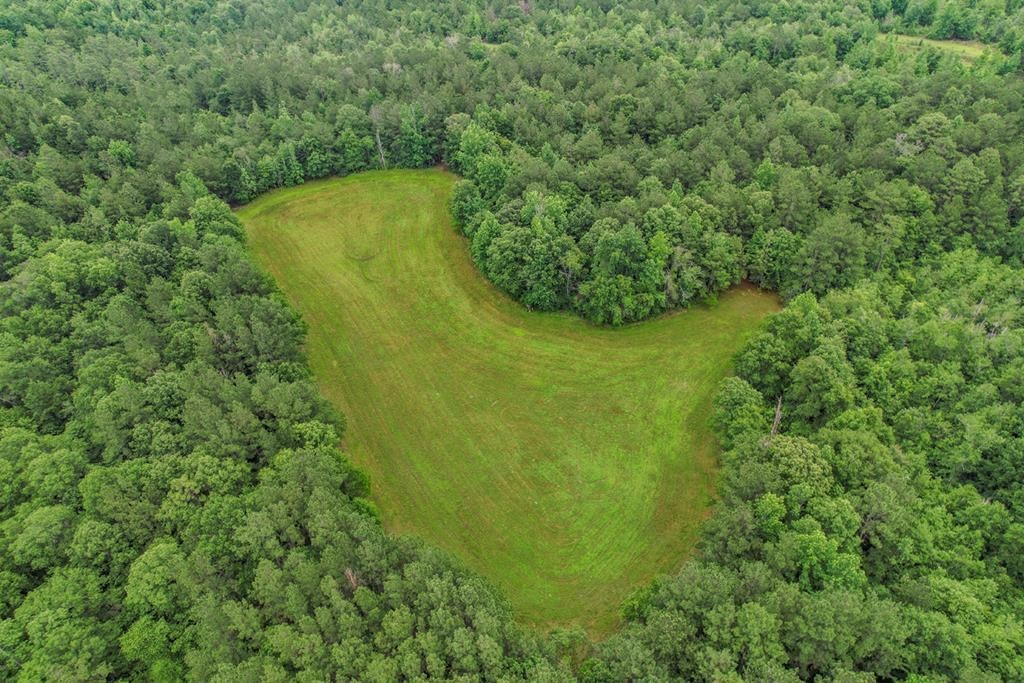 Rare Hunting Tract for Sale in Forrest County, MS