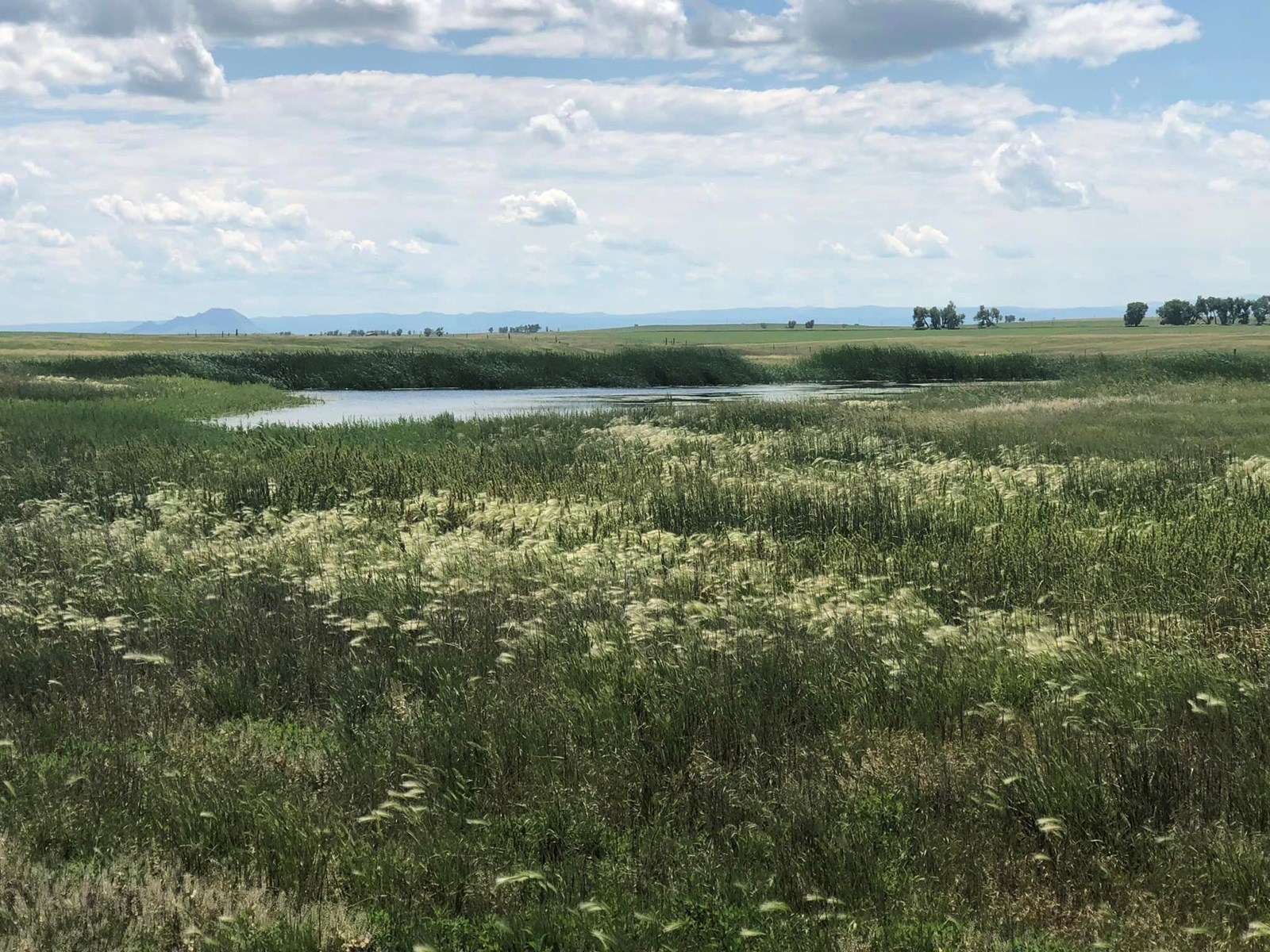 40-Acres of Land near Newell, South Dakota for Sale