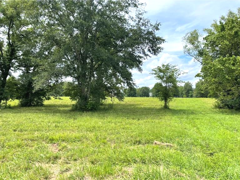 22 Acres in Madison County in Flora, MS 