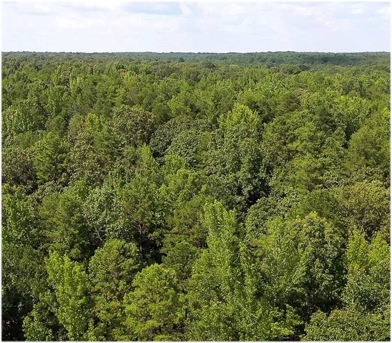 700 Acres in Tallahatchie County (Long Creek Ranch) in Cascilla, MS 