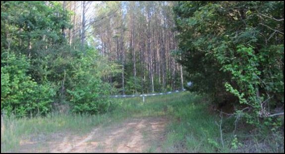 131.30 Acres in Union County in Hickory Flat, MS 