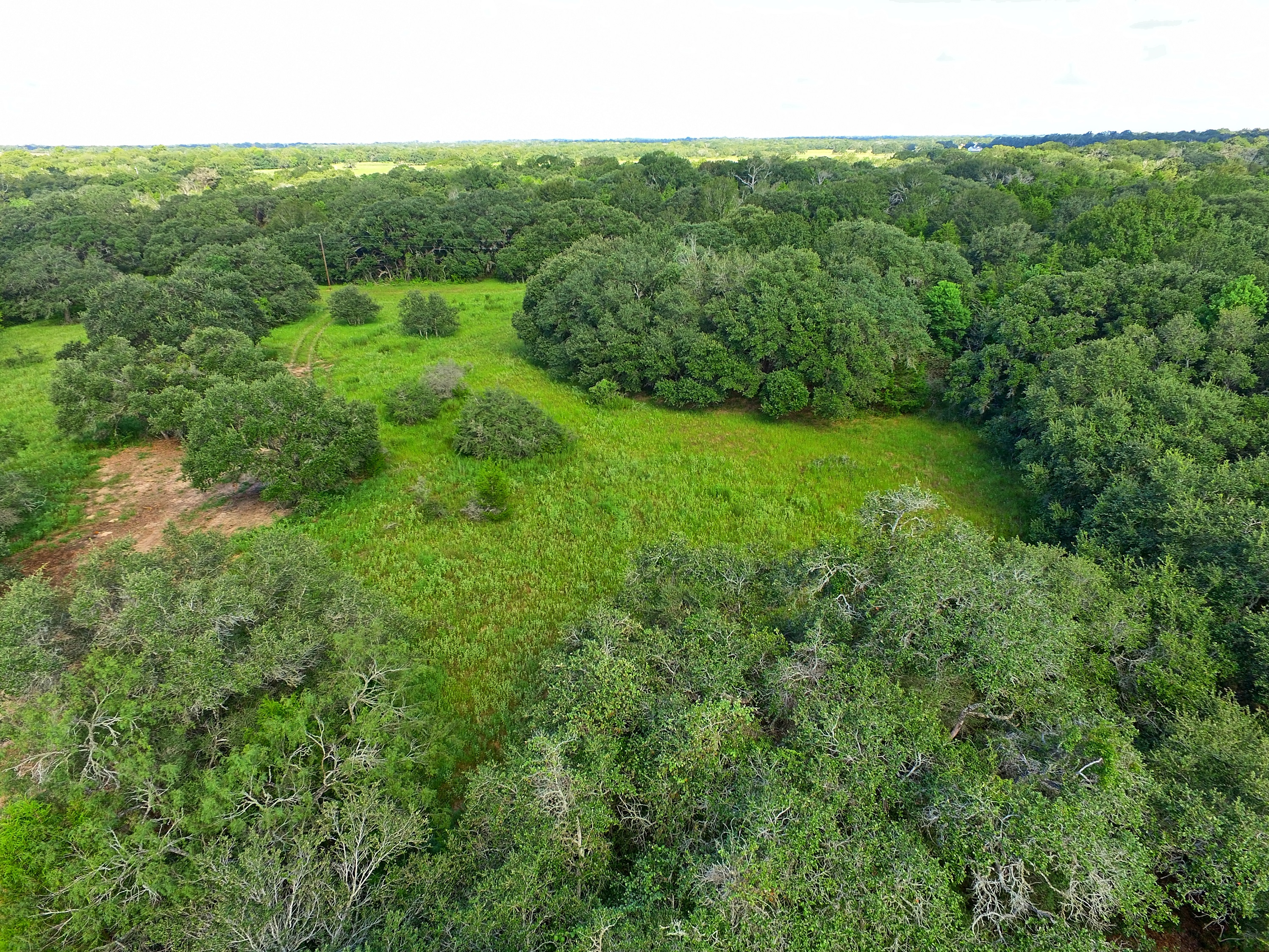 Land for Sale County Road 230 / County Road 212, Weimar, TX 78962