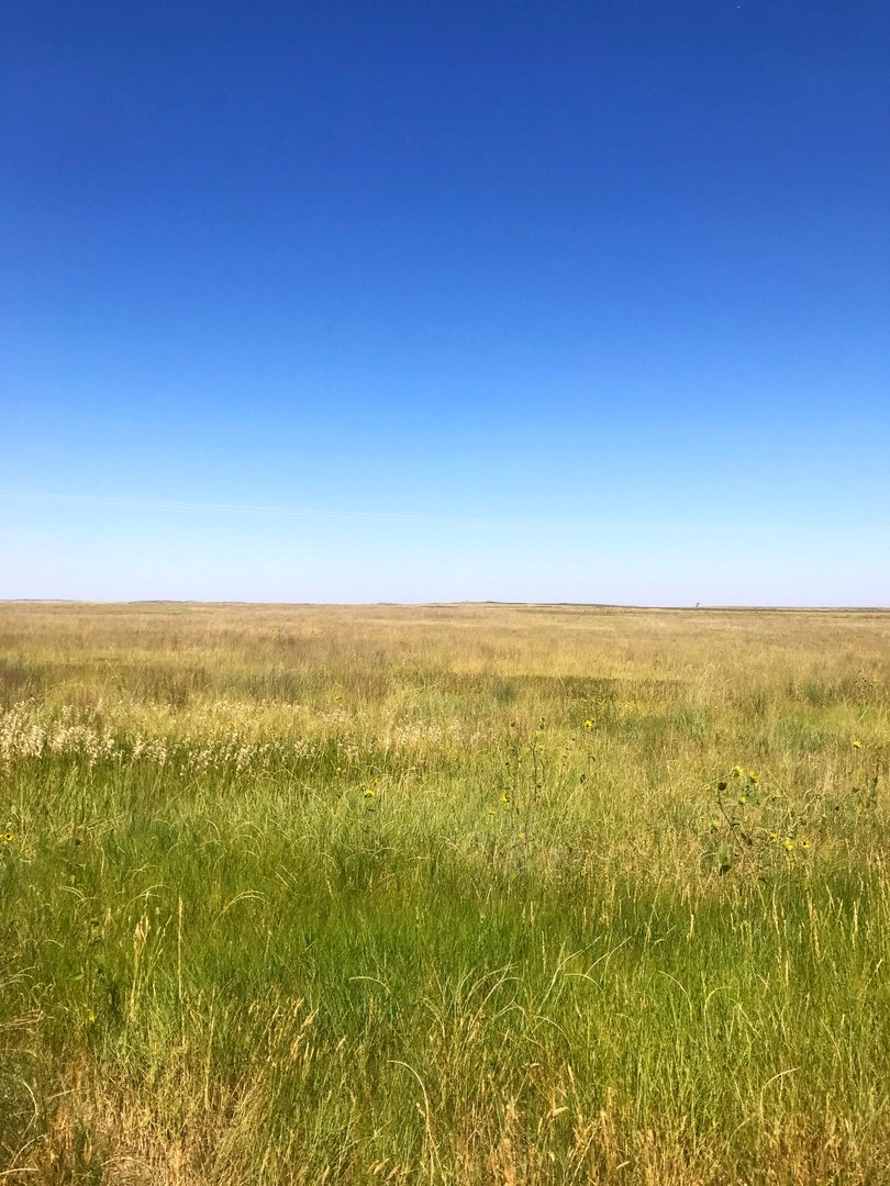 Farms USA Find Property For Sale Farms For Sale In USA