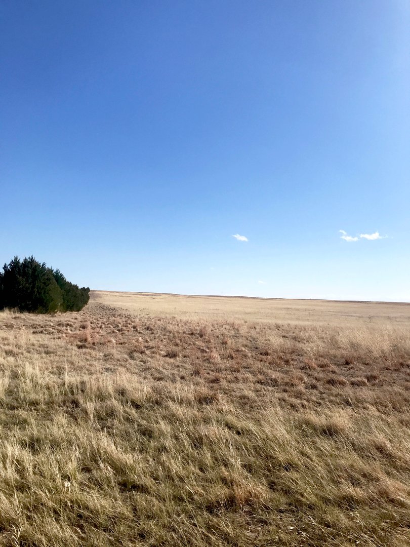 Farms USA Find Property For Sale Farms For Sale In USA