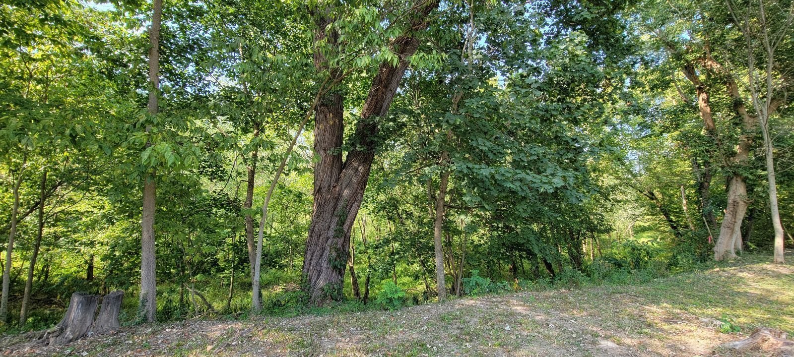 29064 Lagoon Drive Farm In Ohio, Meigs County For Sale