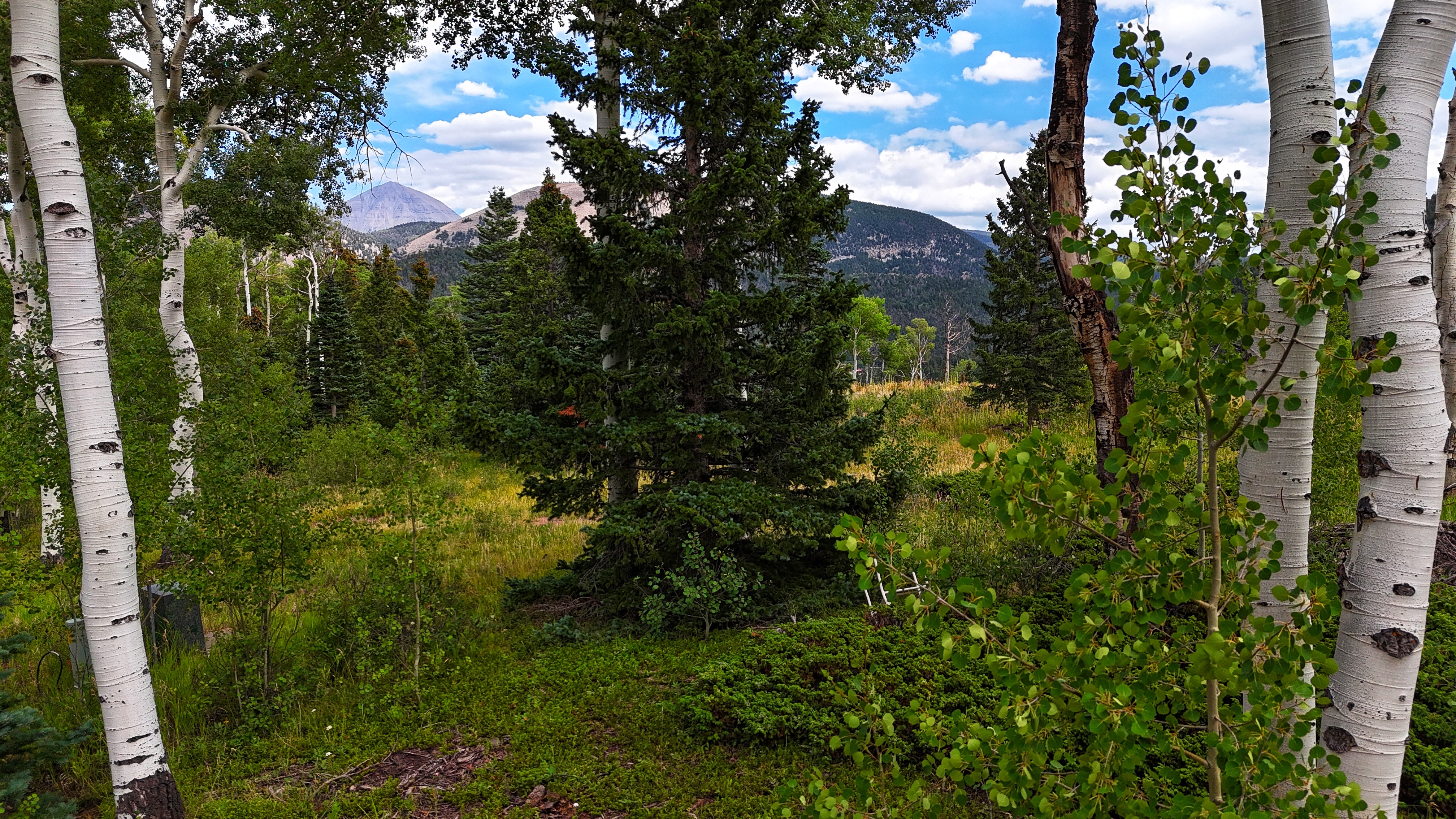 Land for Sale TBD Baker Creek Court, Cuchara, CO 81055 1.02 acres