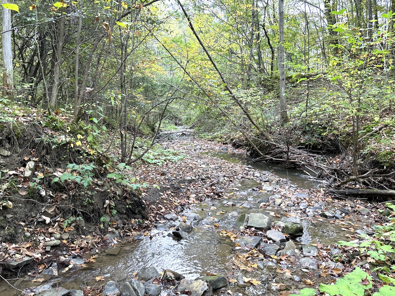 Land for Sale County Road 15b, Grove, NY 14822 10 acres