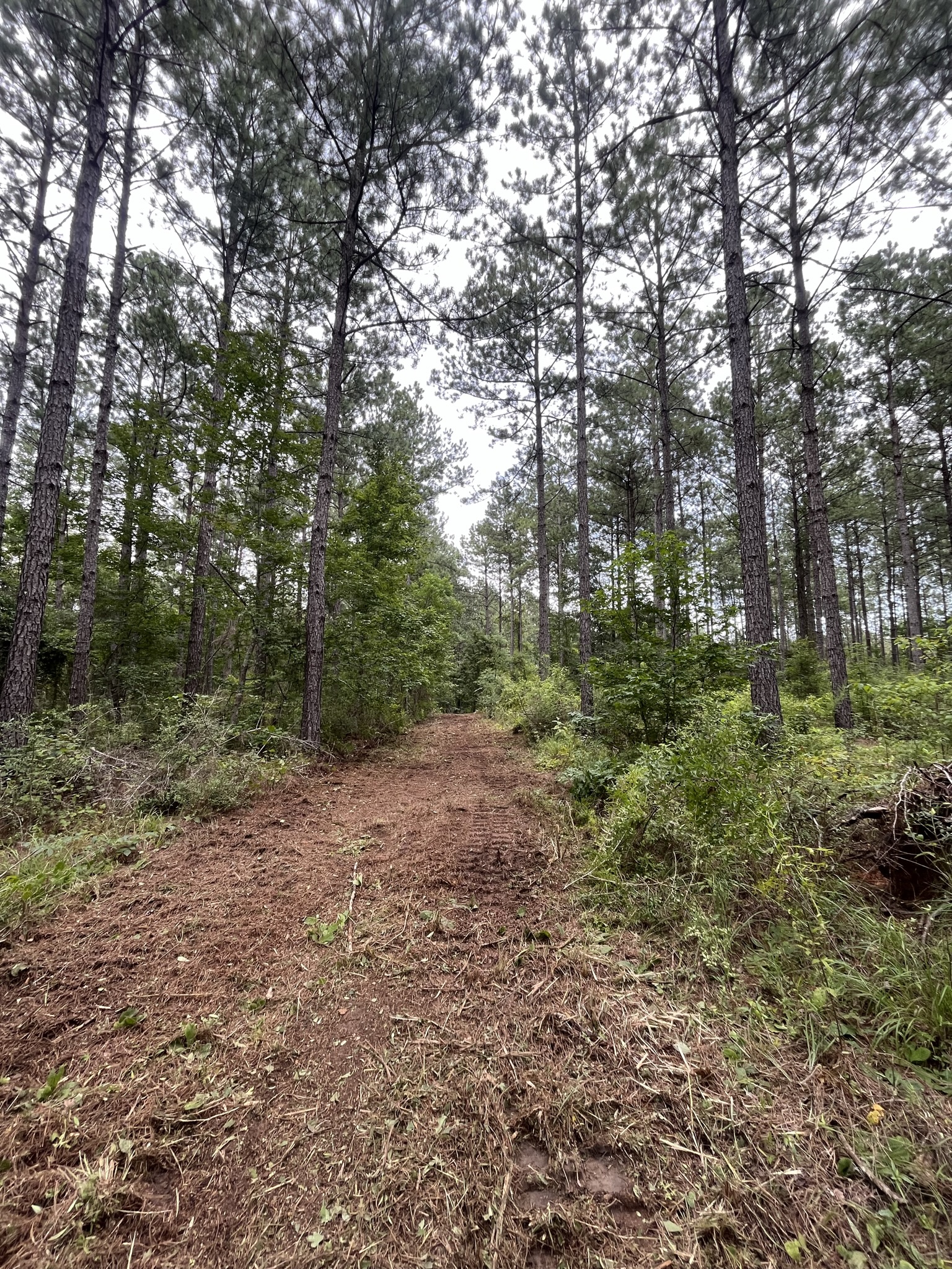 Land for Sale Hwy 568, Magnolia, MS 39652 7.4 acres