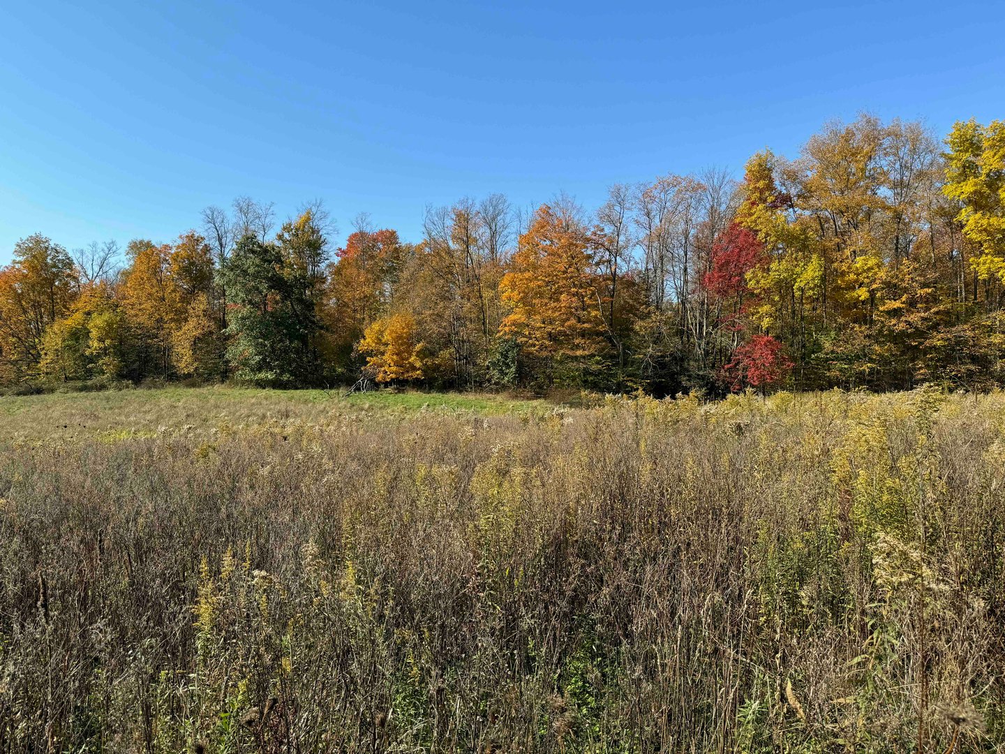 Land for Sale Sprague Hill Road, Falconer, NY 14733 10.8 acres