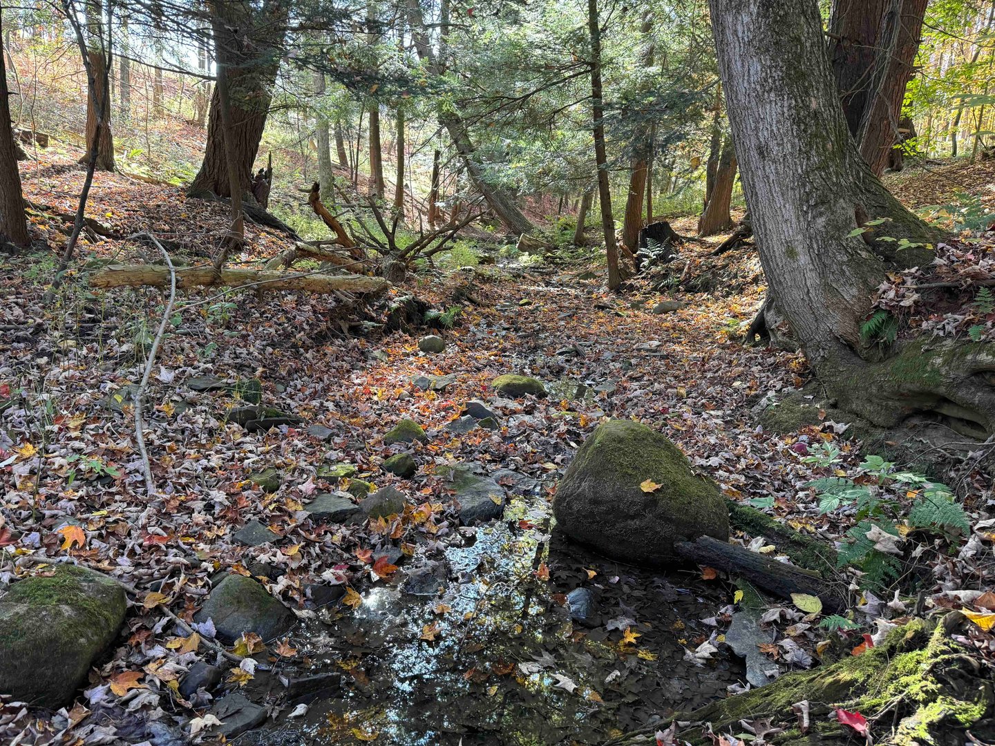 Land for Sale Sprague Hill Road, Falconer, NY 14733 14 acres