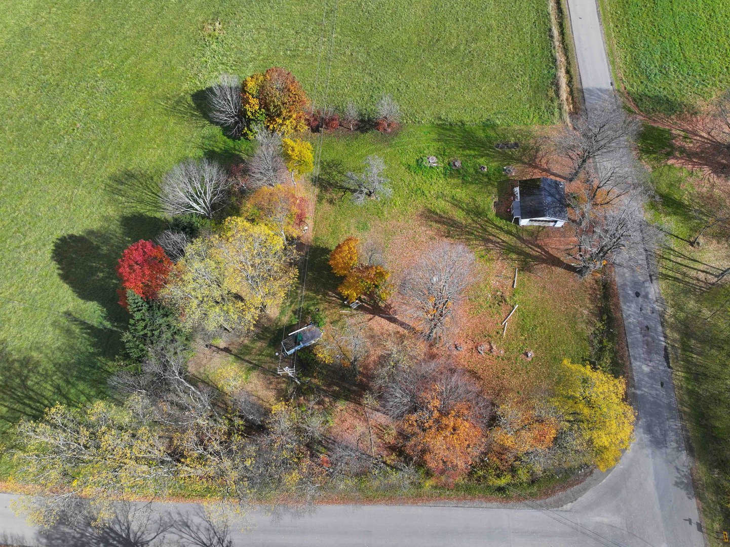 Land for Sale 11209 Van Gilder Road, Delevan, NY 14042 1.15 acres
