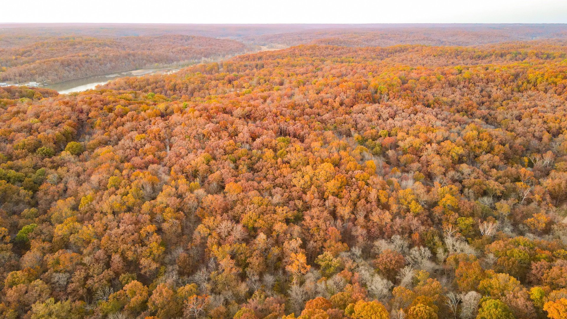 Land for Sale 00 Panarama Lane, MO 65011 28.21 acres