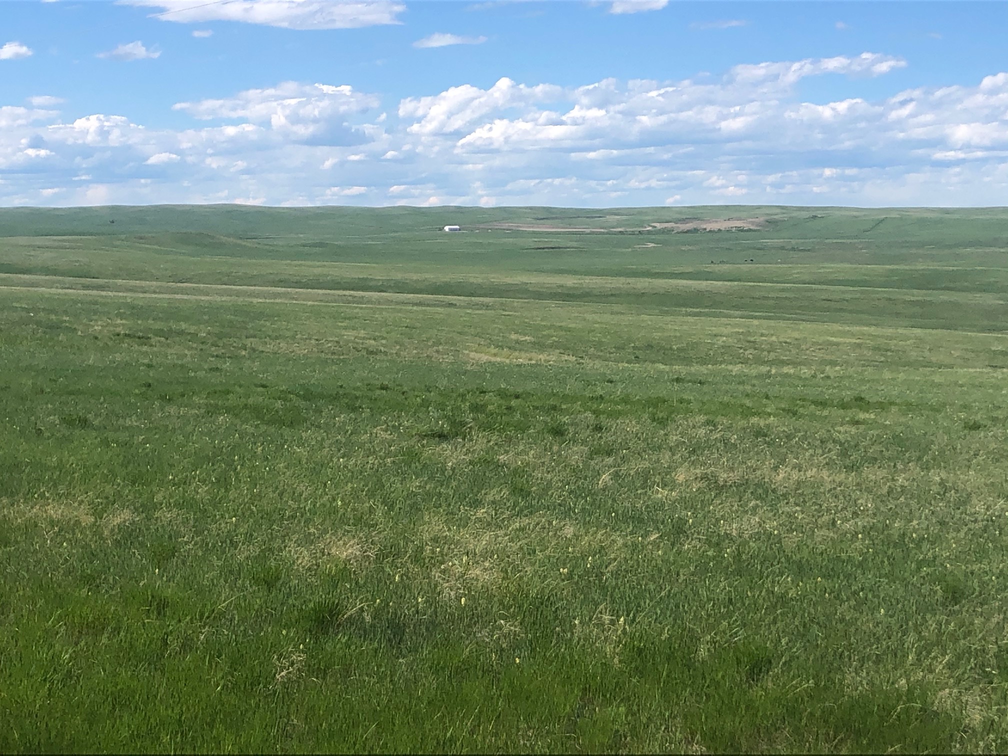Western Nebraska Grass Pasture