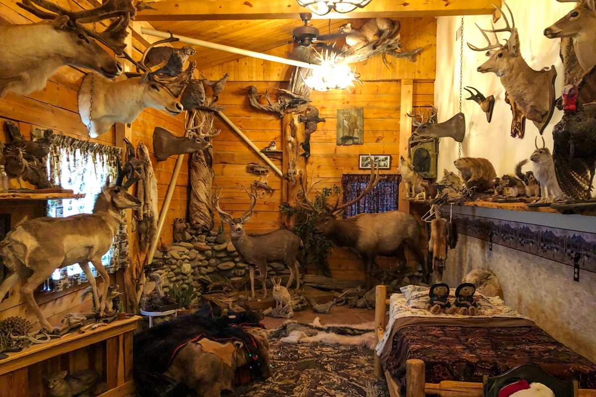 Many Wings Ranch