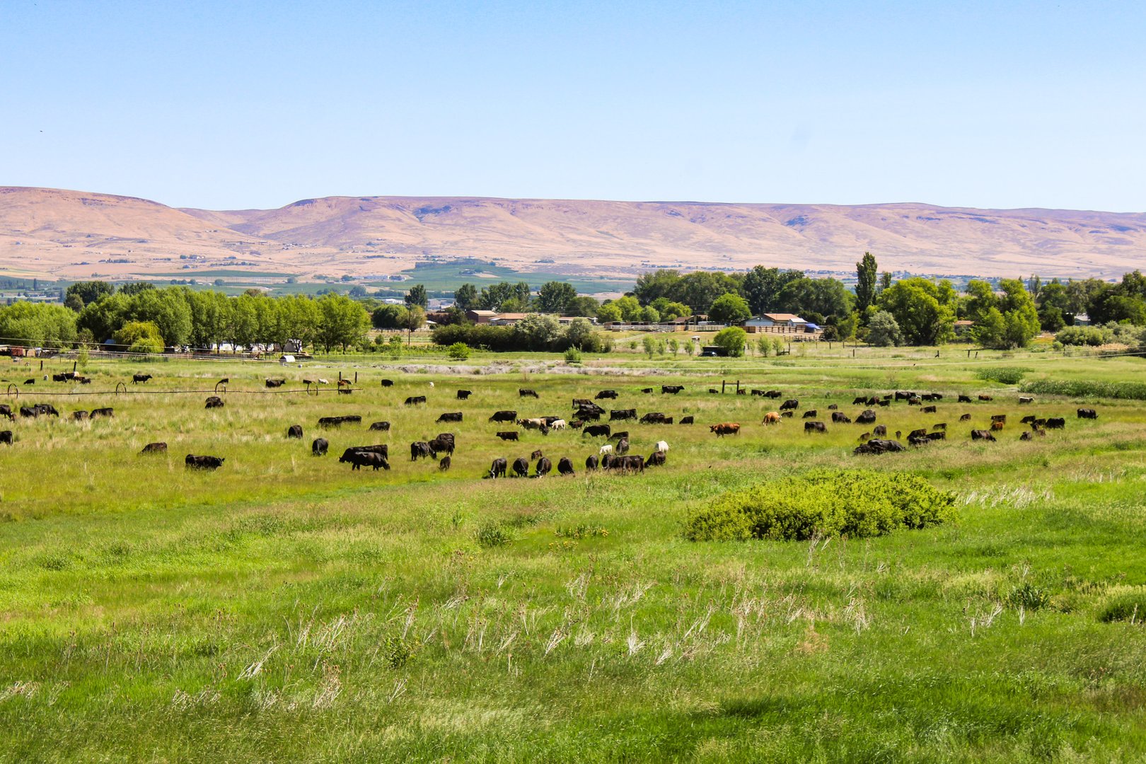 Yakima River Ranch