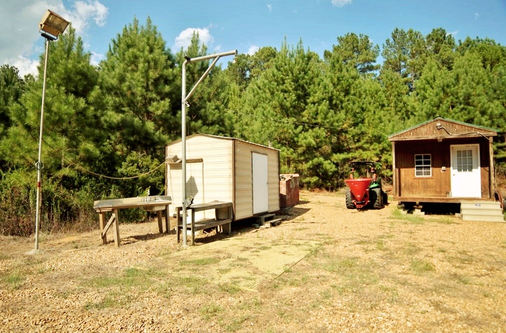 402 Acre Turnkey Hunting Tract/Camp for Sale Adams Co., MS